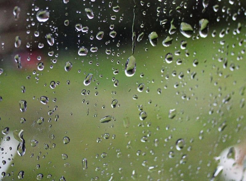 Raindrops on a window