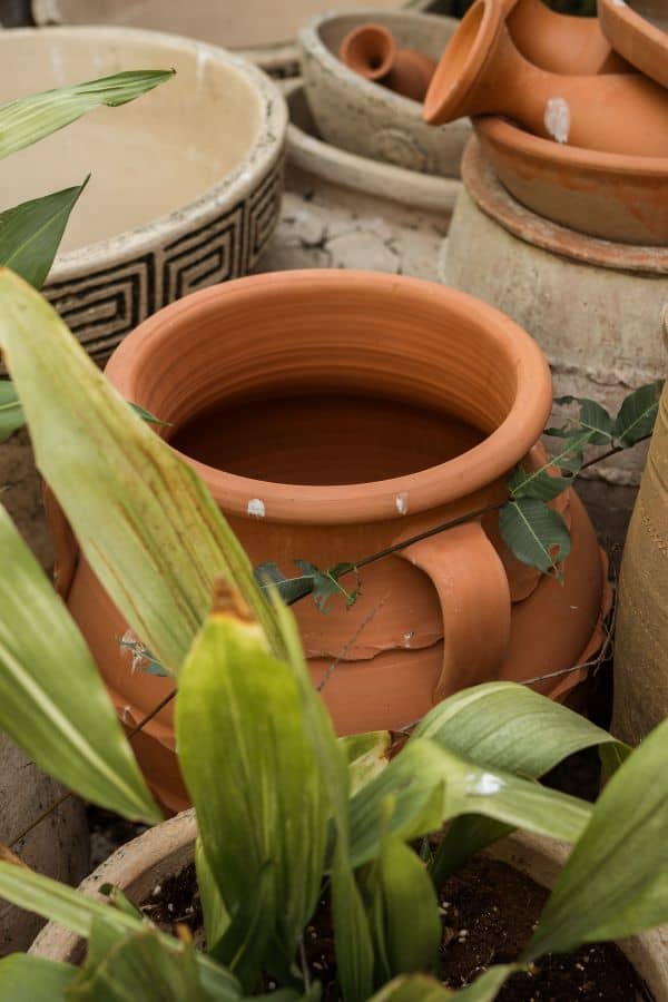 Amphora pot in garden